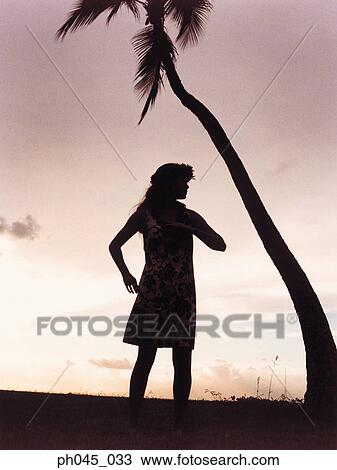 Silhouette of a female hula dancing outdoors at sunset. View Large Photo Image Stock Image - Silhouette of a female hula dancing outdoors at sunset. . Fotosearch