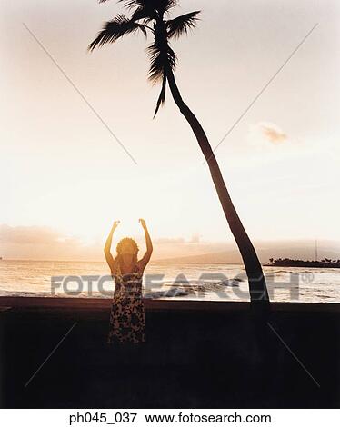 Silhouette of a female hula dancing outdoors at sunset. View Large Photo Image Stock Photo - Silhouette of a female hula dancing outdoors at sunset. . Fotosearch