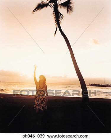Silhouette of a female hula dancing outdoors at sunset. View Large Photo Image Stock Photo - Silhouette of a female hula dancing outdoors at sunset. . Fotosearch