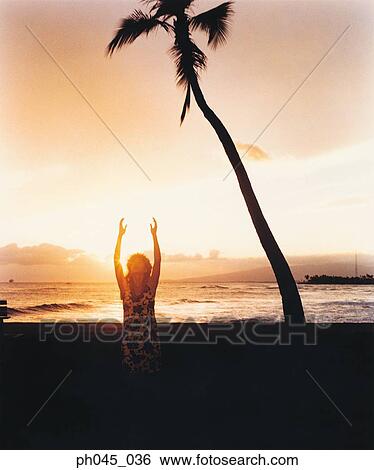 Silhouette of a female hula dancing outdoors at sunset. View Large Photo Image Stock Photograph - Silhouette of a female hula dancing outdoors at sunset. . Fotosearch