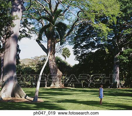Stock Photo - Young woman in Hawaiian blouse, standing on lawn . Fotosearch