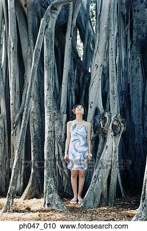 Young woman standing in front of old growth tree View Large Photo Image Stock Image - Young woman standing in front of old growth tree. Fotosearch