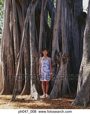 Young woman standing in front of old growth tree View Large Photo Image Stock Photo - Young woman standing in front of old growth tree. Fotosearch