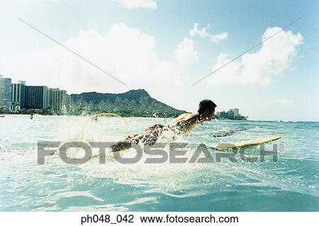 Stock Image - Man laying on surfboard paddling with hands in water. Fotosearch