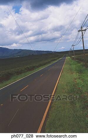 US, Hawaii, Country road View Large Photo Image Stock Photo - US, Hawaii, Country road. Fotosearch
