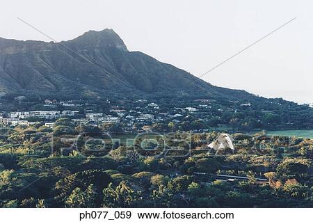 View of Diamond Head, Hawaii View Large Photo Image Stock Photo - View of Diamond Head, Hawaii . Fotosearch