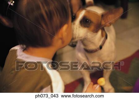 Young boy kissing dog View Large Photo Image Stock Image - Young boy kissing dog. Fotosearch
