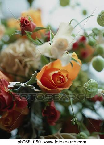 Stock Image - Bouquet of roses. Fotosearch