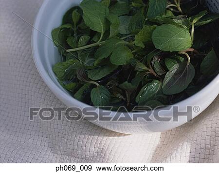 Stock Photo - Leafy vegetable soak in a bowl of water. Fotosearch