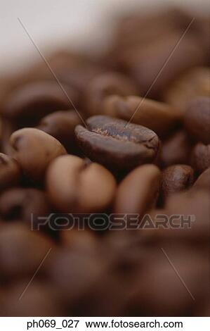 Roasted coffee beans, selective focus View Large Photo Image Stock Photo - Roasted coffee beans, selective focus. Fotosearch