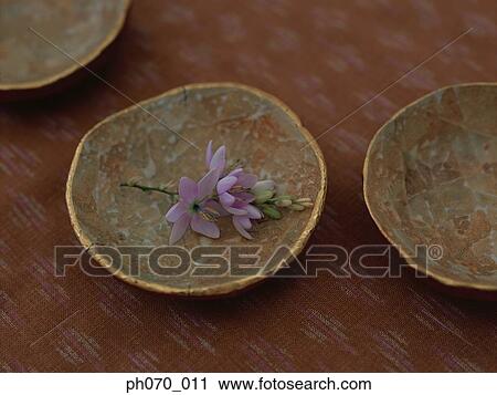 Ceramic plates with flower decoration View Large Photo Image Stock Image - Ceramic plates with flower decoration. Fotosearch