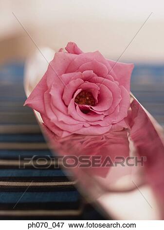 Decorative flower on the table View Large Photo Image Stock Photo - Decorative flower on the table. Fotosearch
