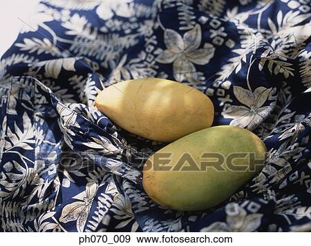Mangoes View Large Photo Image Stock Photo - Mangoes. Fotosearch