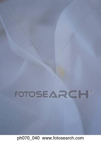 Stock Image - White business shirt. Fotosearch