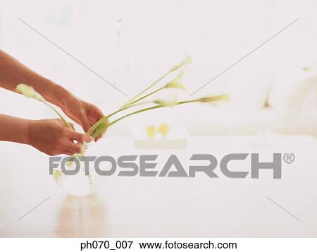 Woman decorating the table View Large Photo Image Stock Photo - Woman decorating the table. Fotosearch