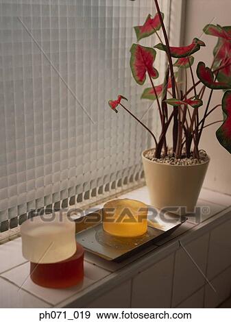 Potted plant and soap bars on window sill View Large Photo Image Stock Photo - Potted plant and soap bars on window sill. Fotosearch