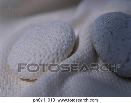Soap and sponge, close-up View Large Photo Image Stock Image - Soap and sponge, close-up . Fotosearch