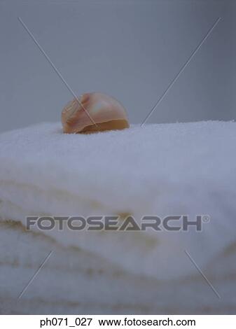 Soap (in shape of a shell) on towel, close up View Large Photo Image Stock Photo - Soap (in shape of a shell) on towel, close up. Fotosearch