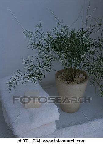 Soap lying on folded white towels and a potted plant View Large Photo Image Picture - Soap lying on folded white towels and a potted plant. Fotosearch