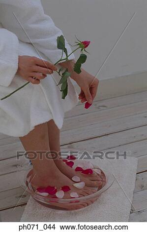 Woman dipping feet in bowl with flower petals View Large Photo Image Picture - Woman dipping feet in bowl with flower petals . Fotosearch
