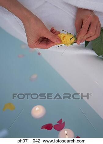 Woman pulling rose petals View Large Photo Image Stock Image - Woman pulling rose petals. Fotosearch