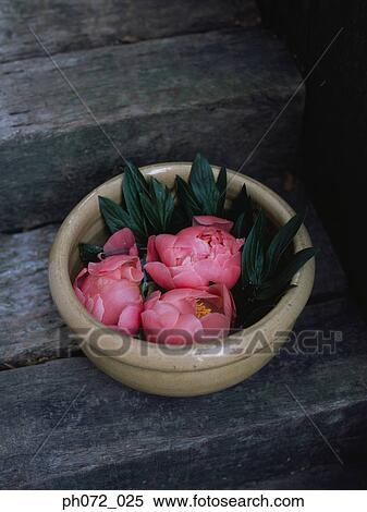 Stock Photography - Bowl of pink flowers, close up. Fotosearch