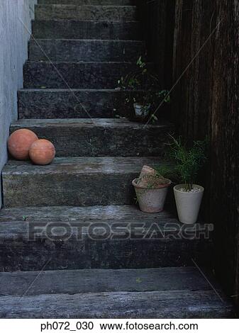Stock Image - Staircase with plants on steps, close up. Fotosearch
