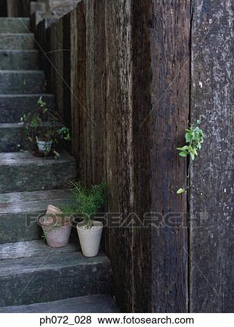 Staircase with plants on steps, close up View Large Photo Image Stock Photo - Staircase with plants on steps, close up. Fotosearch