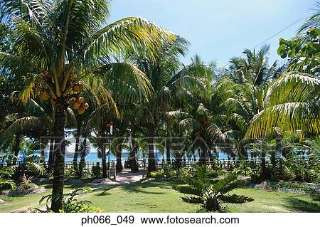Stock Photo - Beach resort. Fotosearch