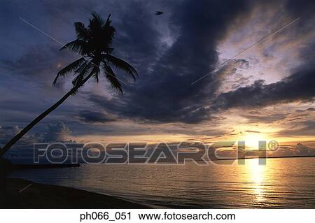 Stock Image - Beach sunset . Fotosearch