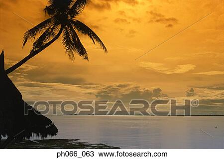 Beach sunset View Large Photo Image Stock Image - Beach sunset . Fotosearch