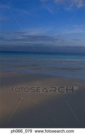 Footprints on beach View Large Photo Image Stock Photo - Footprints on beach. Fotosearch