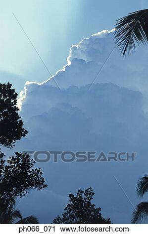 Trees and clouds View Large Photo Image Stock Image - Trees and clouds. Fotosearch