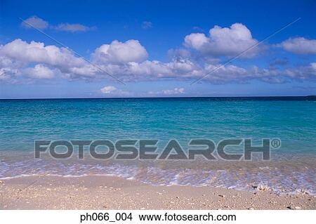 Picture - Tropical shoreline . Fotosearch