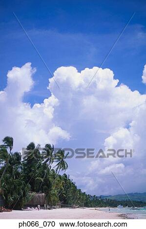 Stock Image - Tropical shoreline . Fotosearch