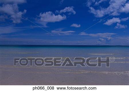 Stock Photo - Tropical shoreline . Fotosearch