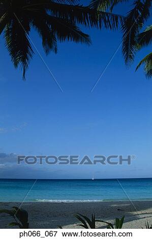 Stock Photo - Tropical shoreline . Fotosearch
