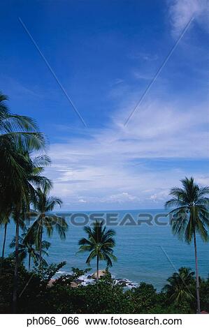 Tropical shoreline View Large Photo Image Stock Photograph - Tropical shoreline . Fotosearch