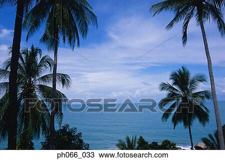Stock Image - View of ocean horizon from land. Fotosearch