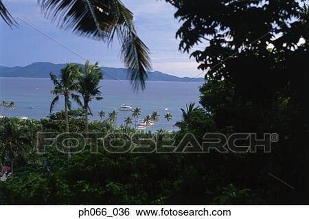 View of ocean horizon from land View Large Photo Image Stock Photograph - View of ocean horizon from land. Fotosearch