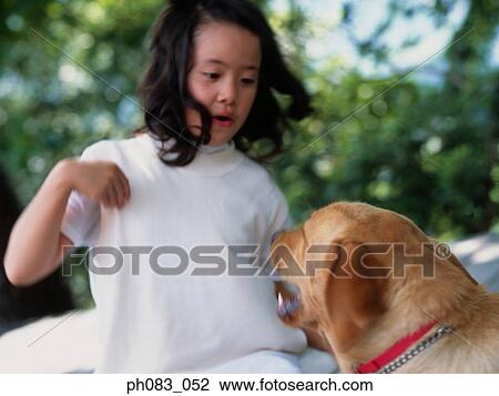 Stock Image - Pet dog playing with young girl. Fotosearch