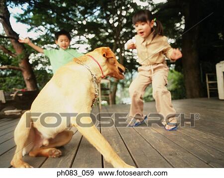 Stock Photo - Young brother and sister playing with pet dog. Fotosearch