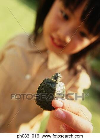 Stock Photograph - Young girl holding terrapin. Fotosearch