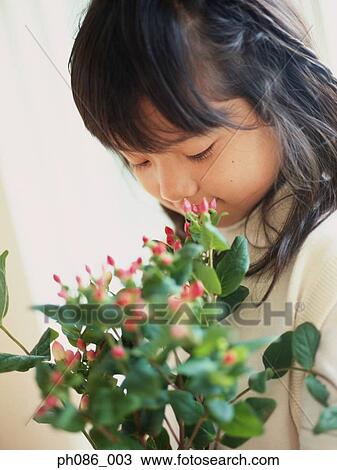 Girl smelling flowers, close-up View Large Photo Image Stock Image - Girl smelling flowers, close-up. Fotosearch