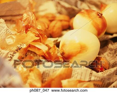Peeled onions on newspaper View Large Photo Image Stock Photo - Peeled onions on newspaper. Fotosearch