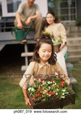 Young girl carrying a crate of plants, parents in the background View Large Photo Image Stock Photo - Young girl carrying a crate of plants, parents in the background. Fotosearch
