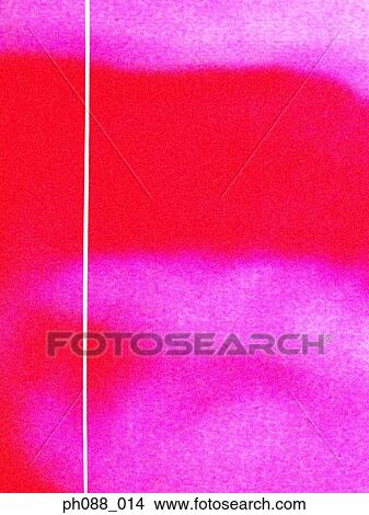 Fluid shape in red against grainy pink background View Large Photo Image Picture - Fluid shape in red against grainy pink background. Fotosearch