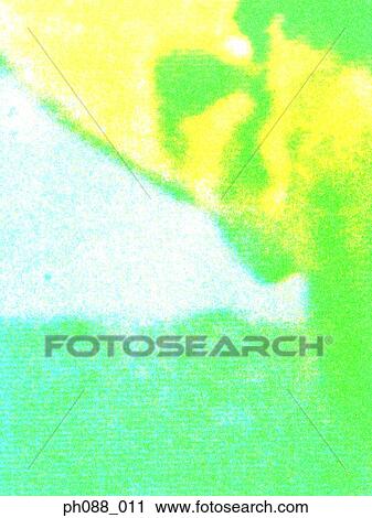 Lime and yellow patches against white background View Large Photo Image Stock Image - Lime and yellow patches against white background. Fotosearch