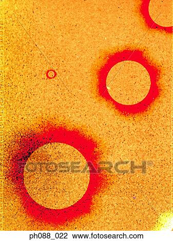 Sun looking circles against grainy orange background View Large Photo Image Stock Image - Sun looking circles against grainy orange background. Fotosearch