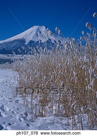 Stock Photo - Japan, Mt Fuji in Winter. Fotosearch